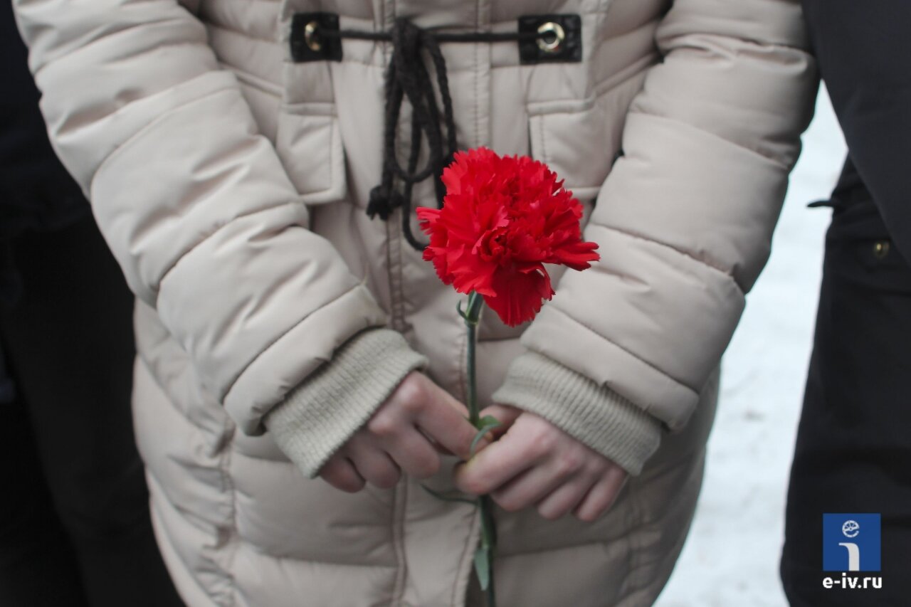 Красная гвоздика в руках девушки, митинг к 23 февраля, Ивантеевка, Московская область
