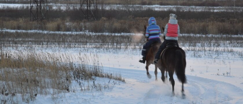 Два коника в движении, девушки верхом на лошадях, лошади тёмно-коричневые, передвигаются по снежному полю, Московская область