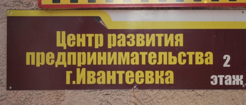 Табличка Центр развития предпринимательства, Ивантеевка, Московская область 