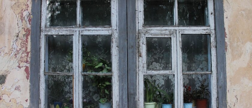 Аварийный дом в Ивантеевке, окна первого этажа, Социалистическая 2, рамы и стены, старые окна, за окнами цветы