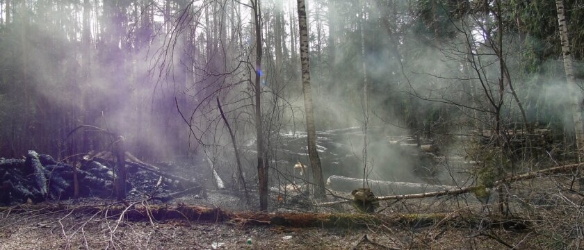 Дым в лесу, пожароопасный период в Московской области
