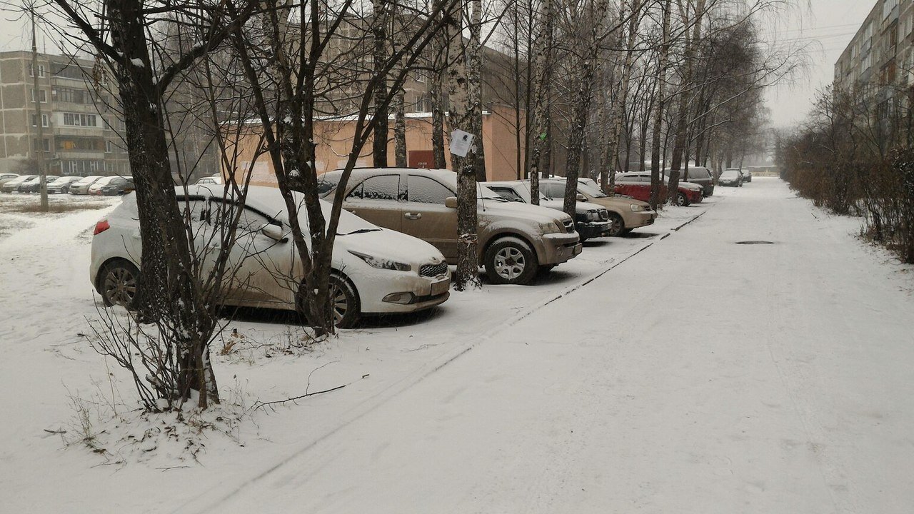 Машины припаркованы между деревьями, Ивантеевка, Московская область