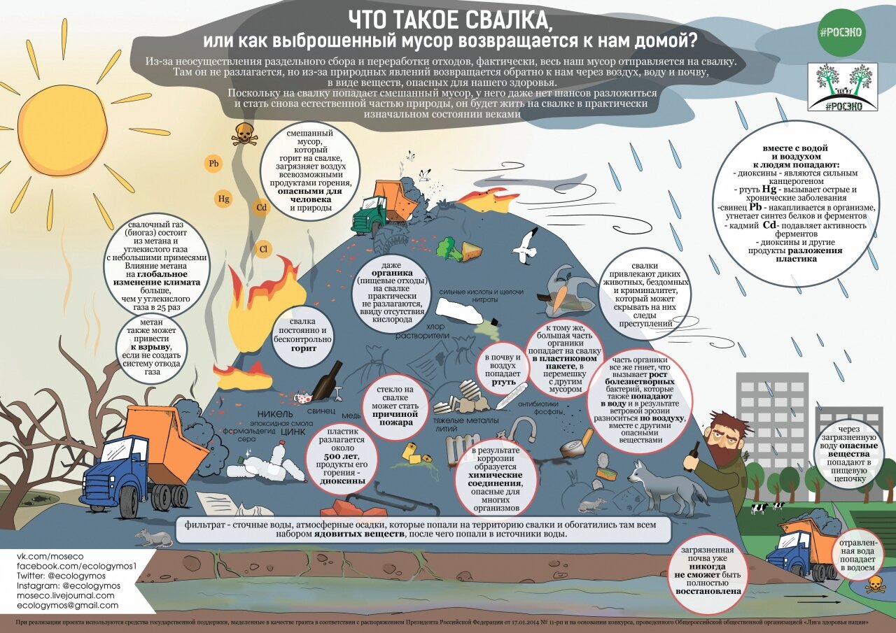 Большая инфографика от РосЭко на тему свалки, объясняет как выброшенный мусор возвращается к нам домой