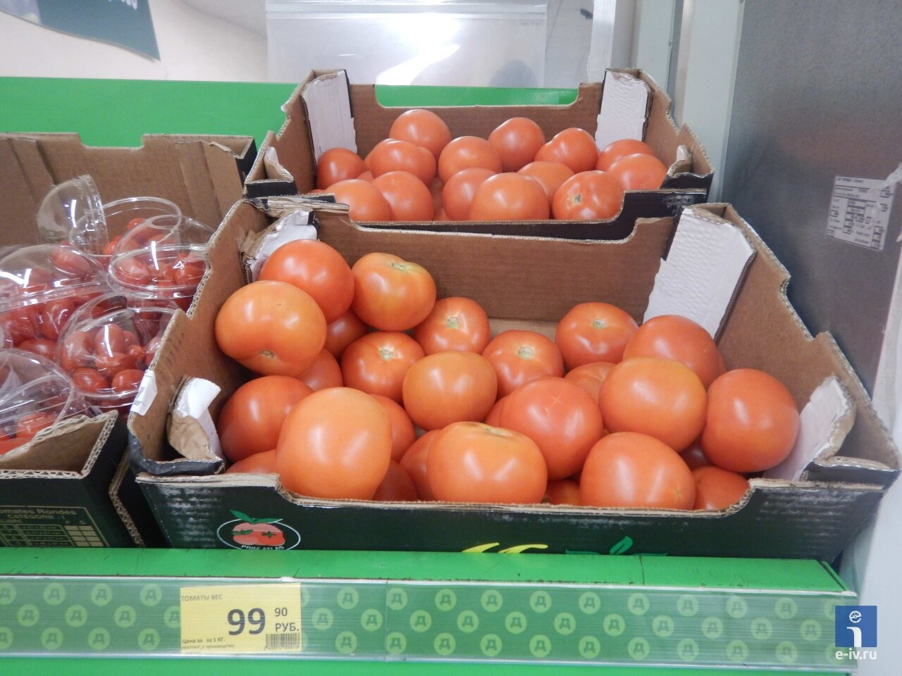 Помидоры, рядом стоят томаты черри, сельское хозяйство Подмосковья