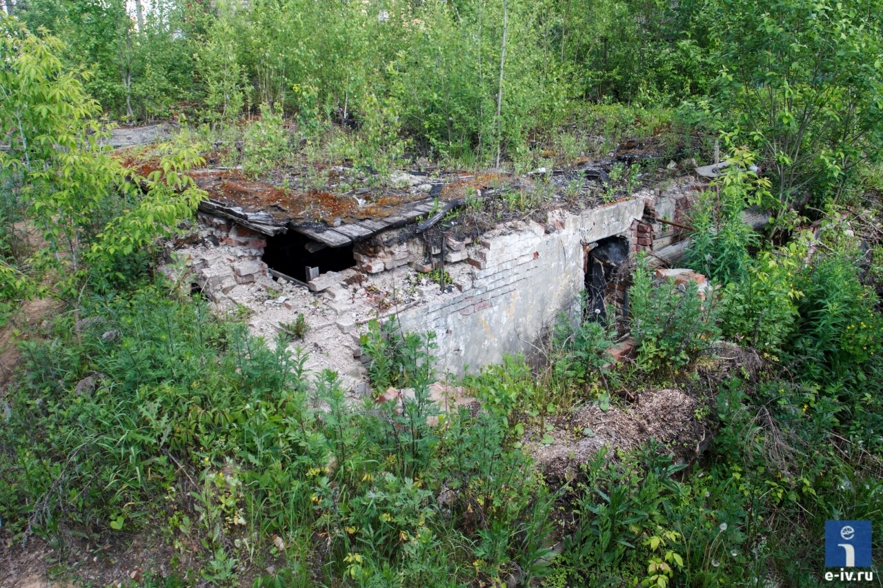 Фундамент бывший дачи Лыжина в Ивантеевке Московской области, после пожара всё заросло кустарников