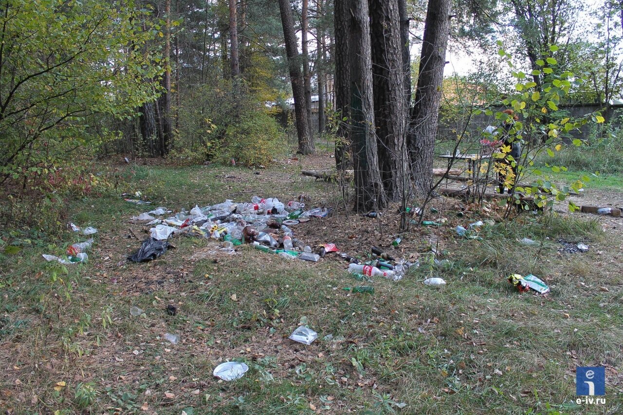 Место для попоек в лесу около Ивантеевки, ужасно много мусора, проблема Подмосковья