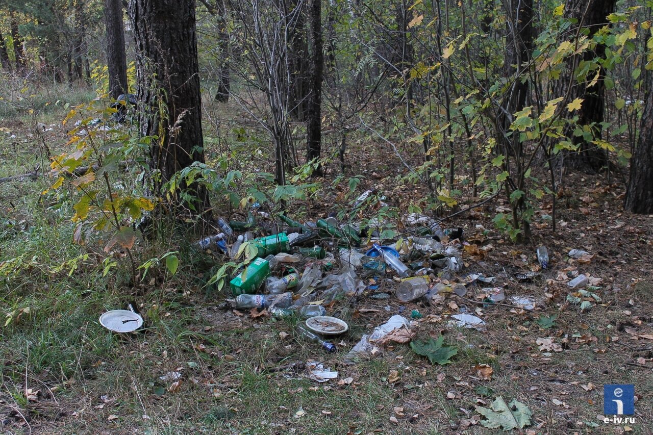 На кучи мусора в лесу можно смотреть только с отвращением, а как смотреть на тех, кто этот мусор здесь оставил?