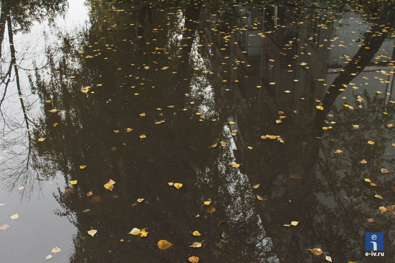 Отражение деревьев и дома №9 по Заводской, жёлтые листья берёзы делают фотографию интереснее